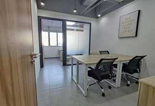 陕西犬冠状抗原检测卡口碑推荐