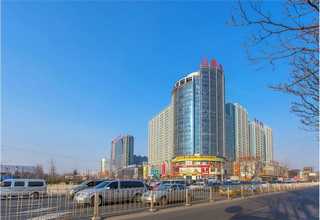 上海真人乳胶头套成品